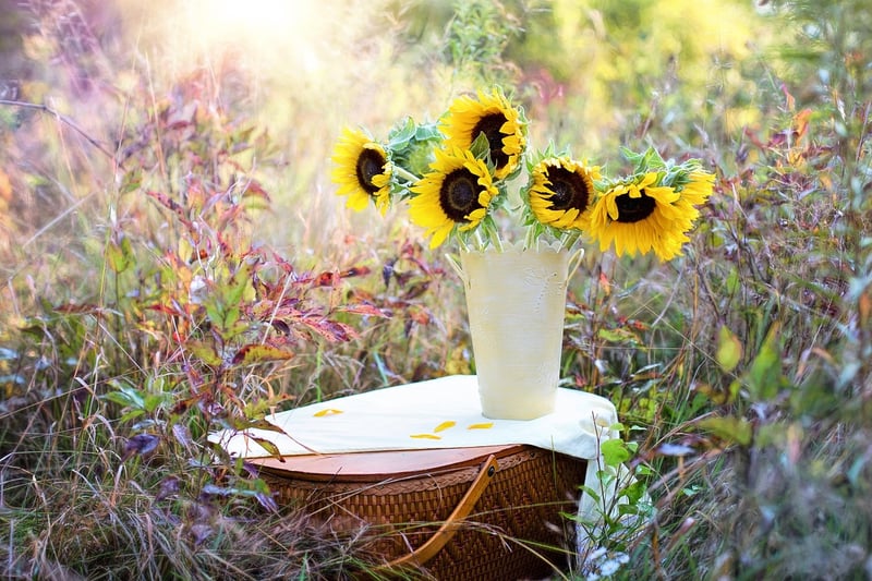 Magical plant arrangements