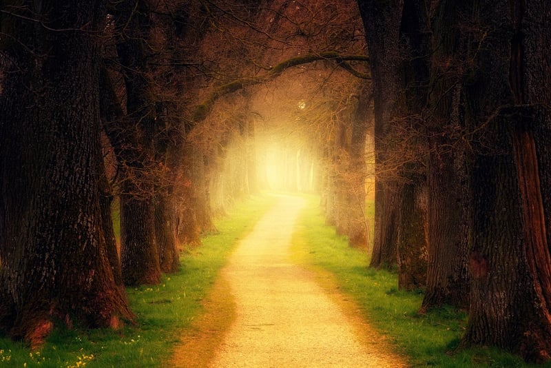 Fantasy Tree